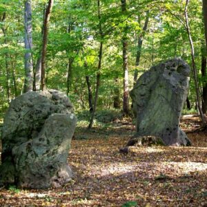 Image PROMENONS NOUS DANS LES BOIS - Sud de la Forêt d'Halatte (Oise)