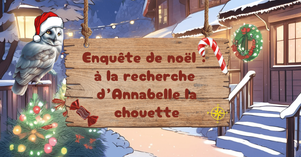 Image_Enquête de Noël : A la recherche de la chouette Annabelle.