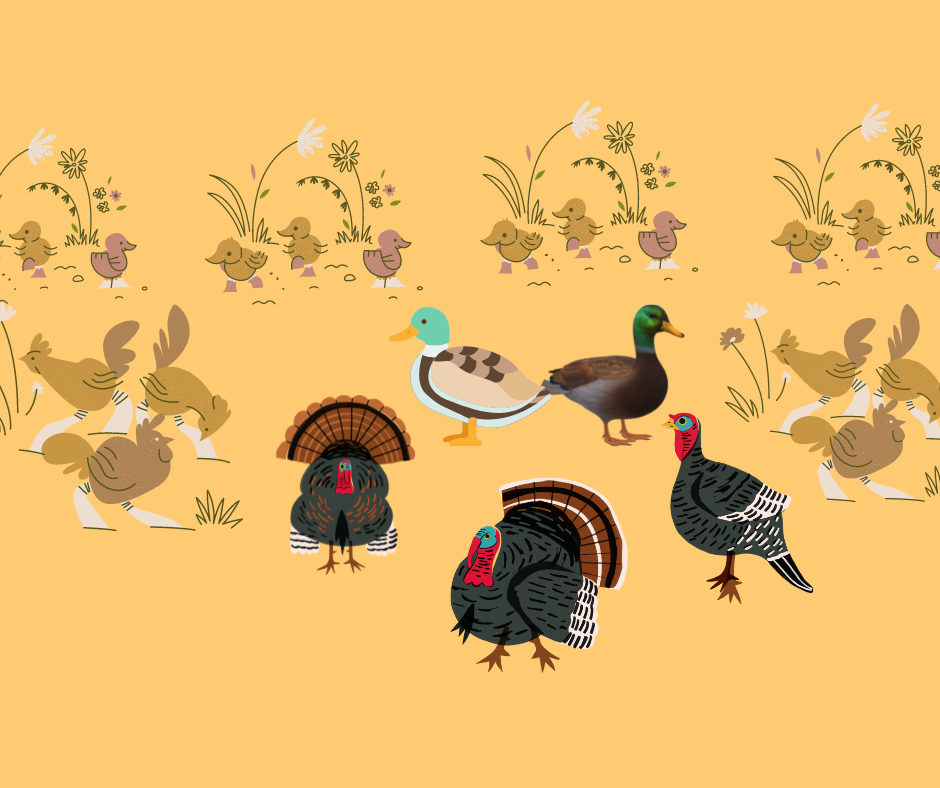 Image_Une houdanaise qui a du pot !