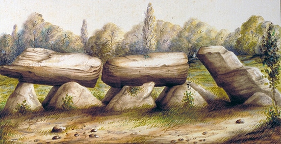 Image Une allée redécouverte