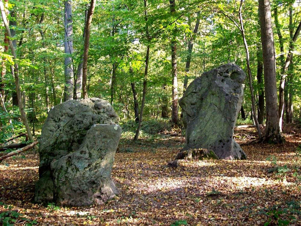 Image Promenons-nous dans les bois - Sud de la Forêt d'Halatte (Oise)