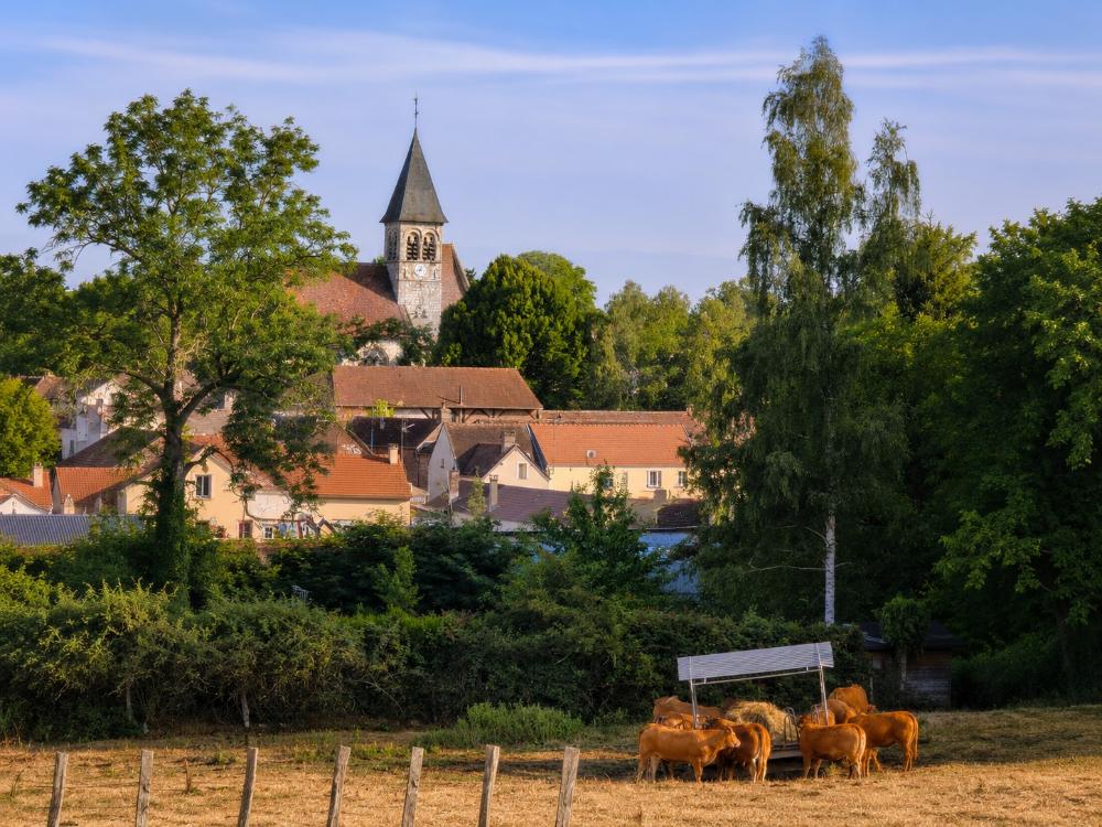 Image_Les Trésors cachés d&rsquo;Allonne à travers les siècles
