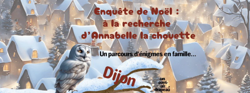 Image Enquête de Noël : A la recherche de la chouette Annabelle.
