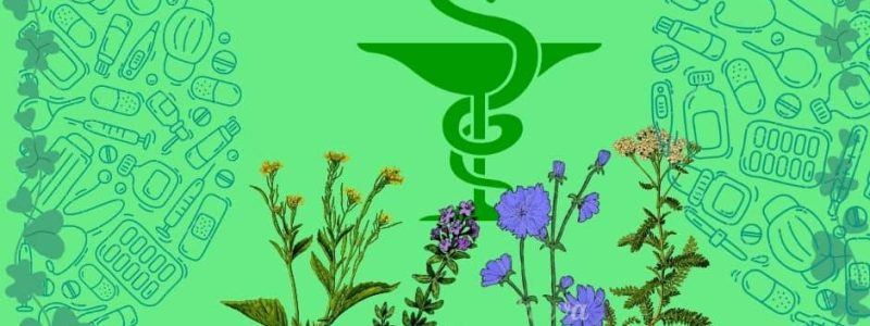 Image Rien que des plantes