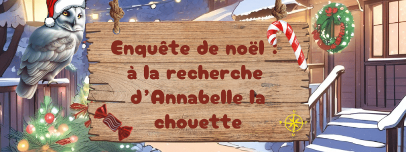 Image Enquête de Noël : A la recherche de la chouette Annabelle.